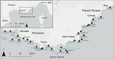 Ecosystem-based assessment of a widespread Mediterranean marine habitat: The Coastal Detrital Bottoms, with a special focus on epibenthic assemblages